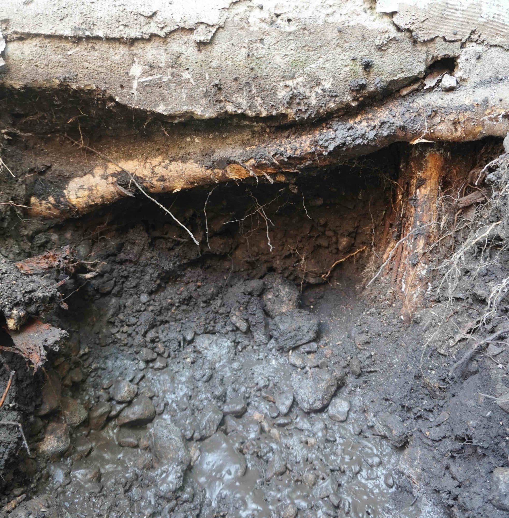 A rotted, deteriorated wood beam exposed beneath an older pier and beam foundation