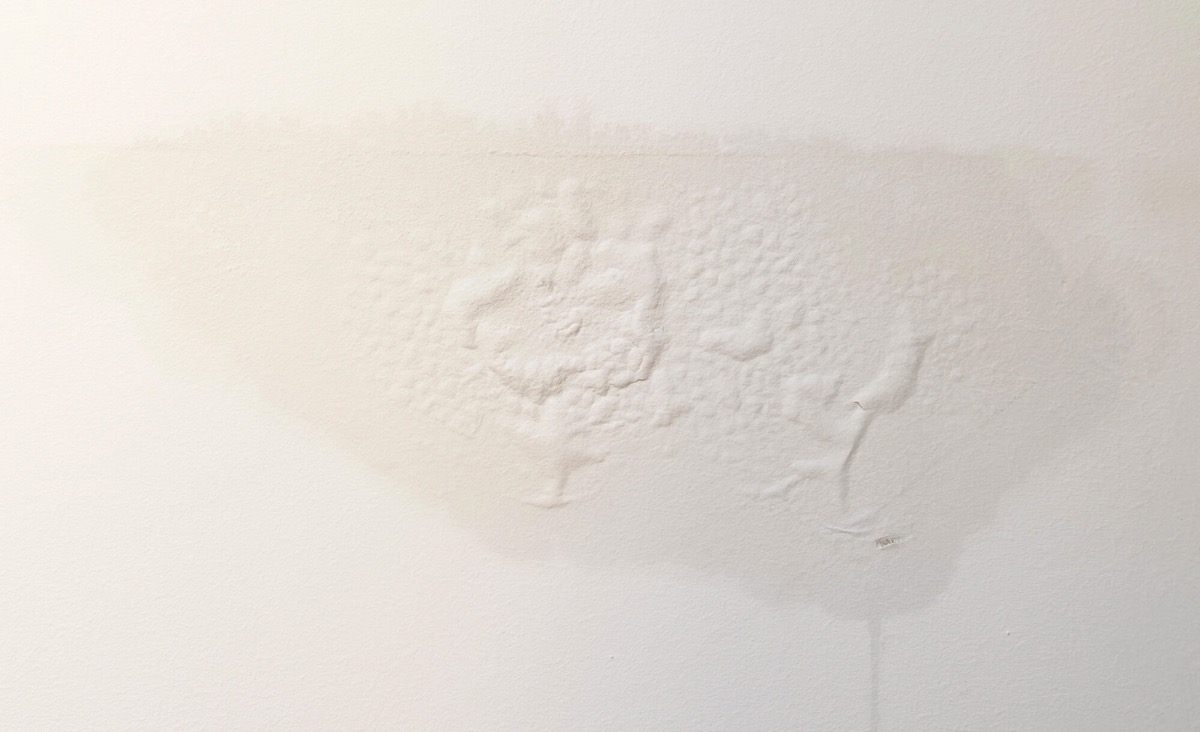 Water Pooling Near Your Foundation? Here's What to Do