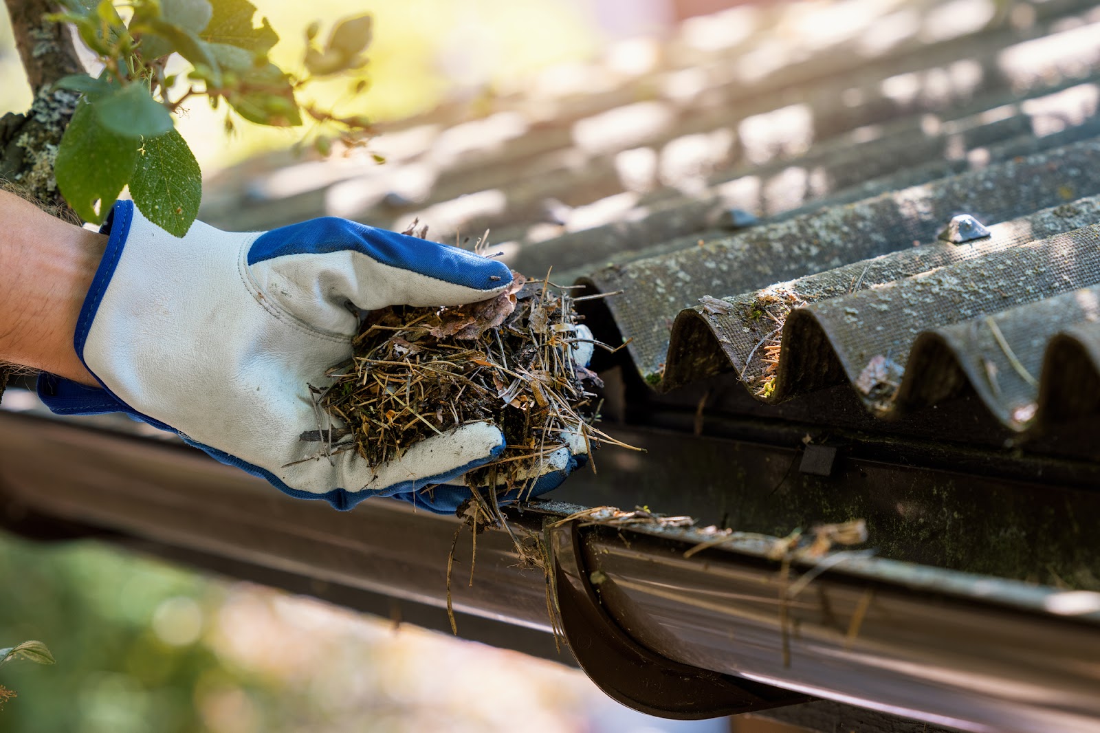 Hand with glove cleaning house gutter from leaves