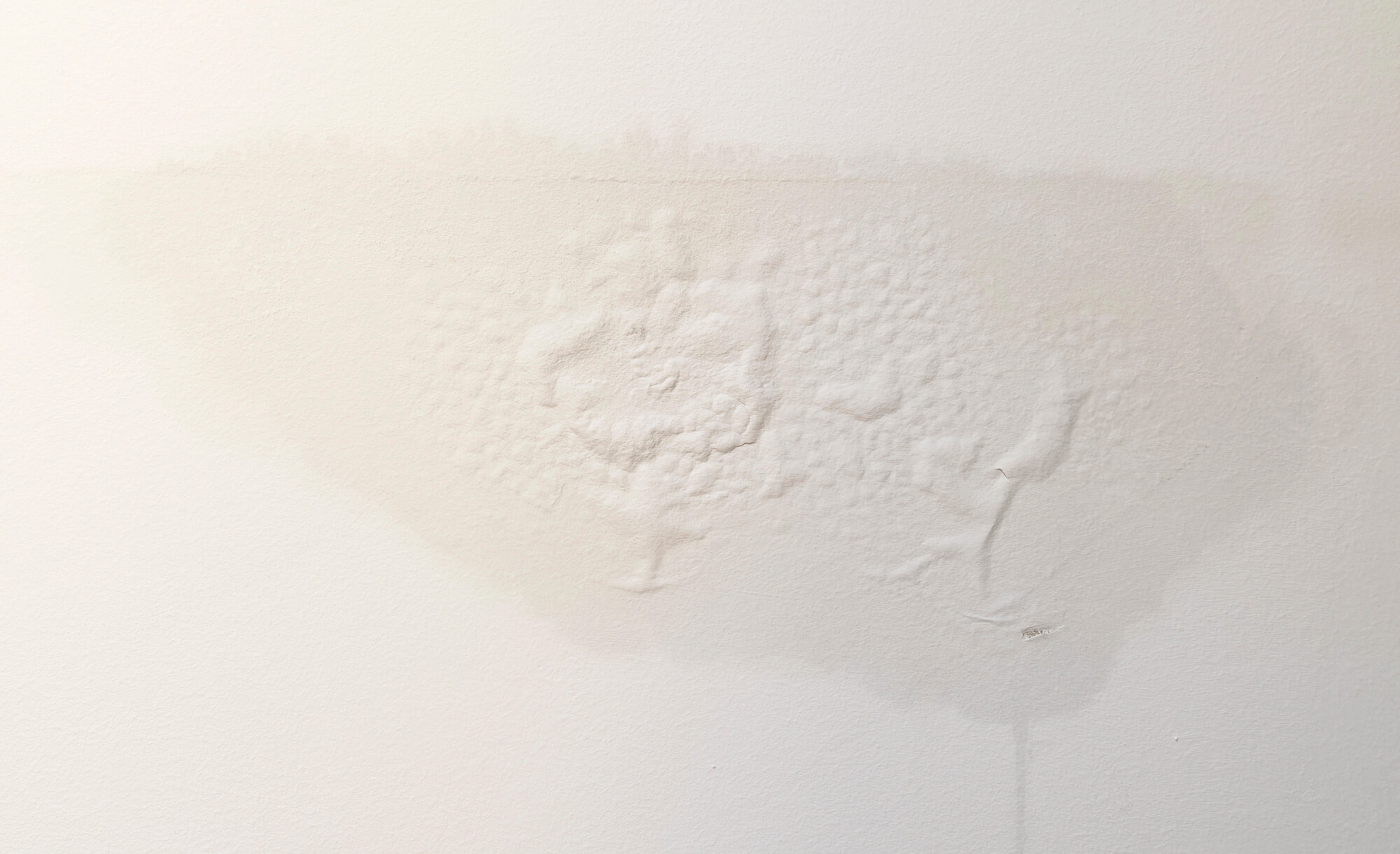 Water Pooling Near Your Foundation? Here's What to Do