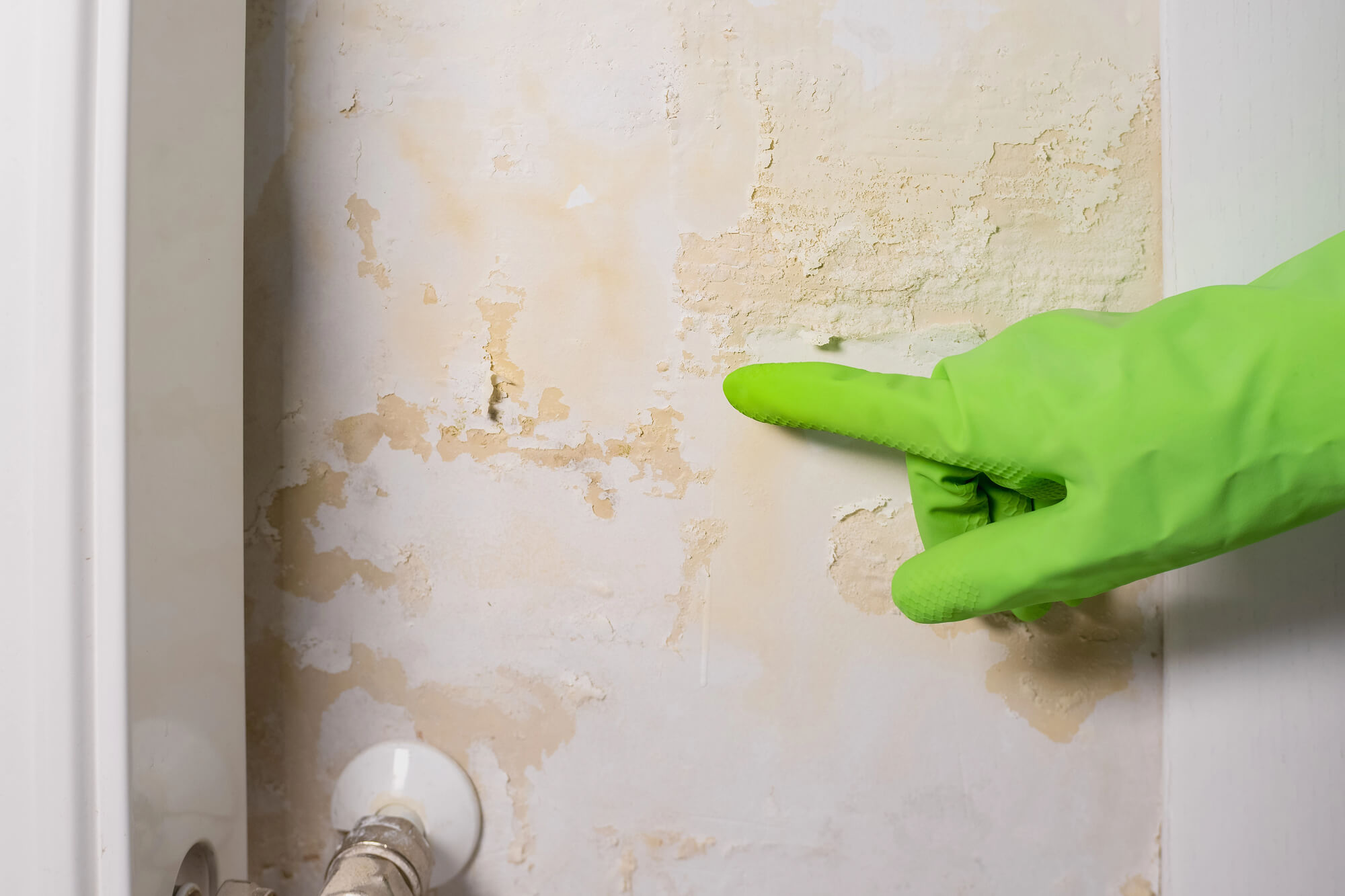 Water Pooling Near Your Foundation? Here's What to Do