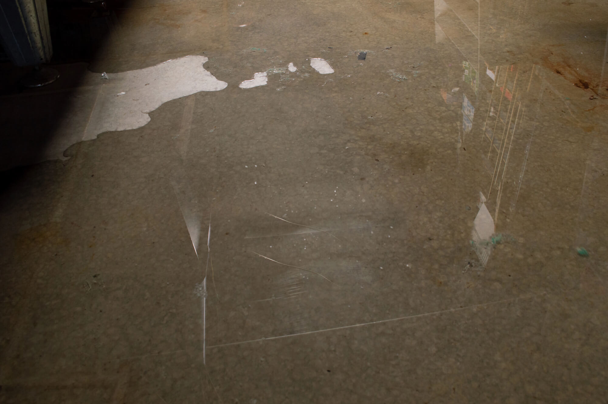 Water Pooling Near Your Foundation? Here's What to Do