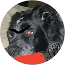 Galan Donato profile picture